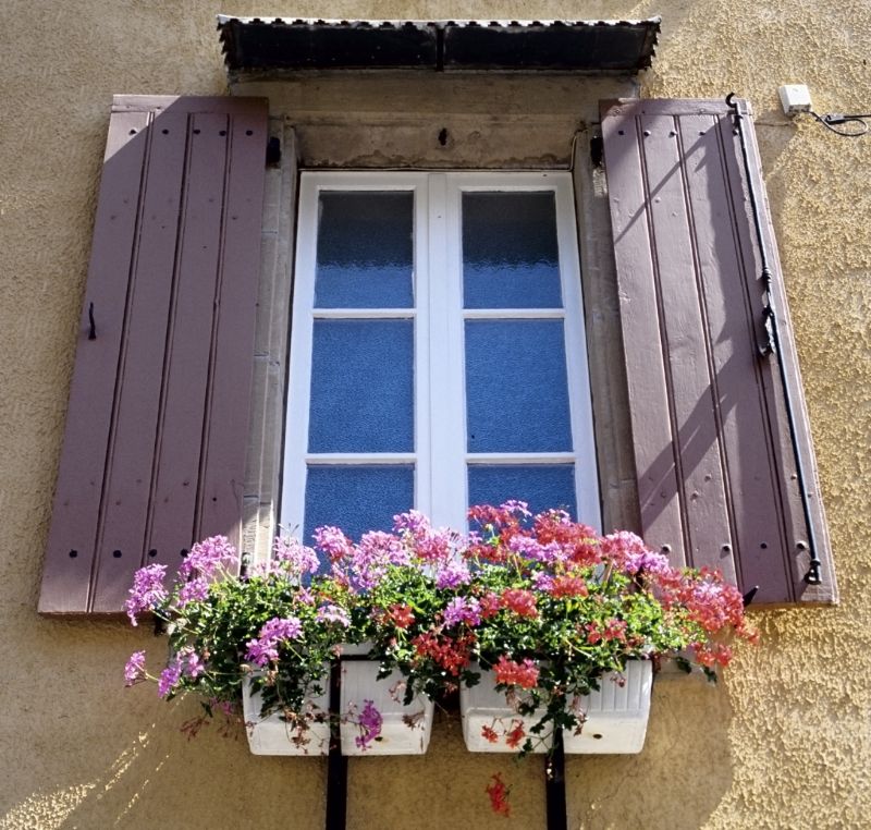 Window Shutter Repair